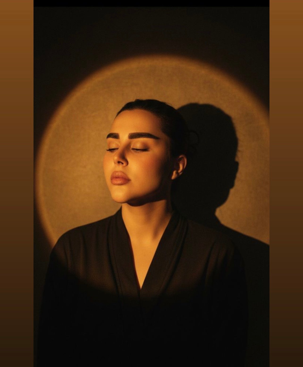 شعار أو صورة التاجر